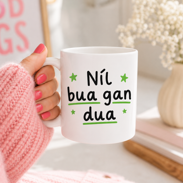 Fun Seanfhocail Mug