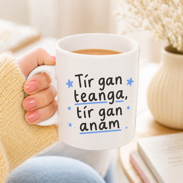 Fun Seanfhocail Mug