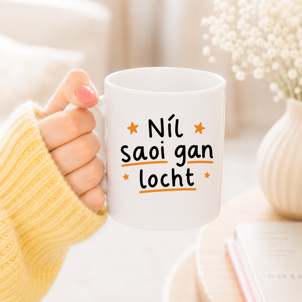 Fun Seanfhocail Mug