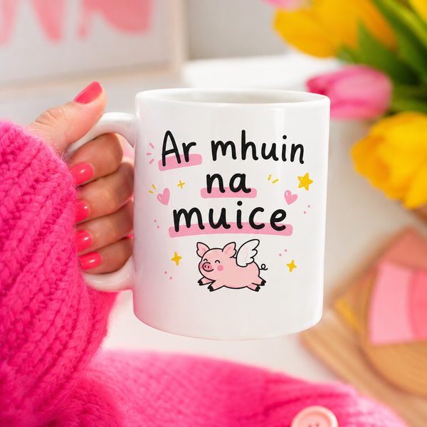 Fun Seanfhocail Mug