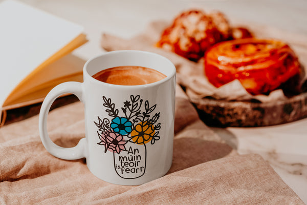 An múinteoir is fearr Mug
